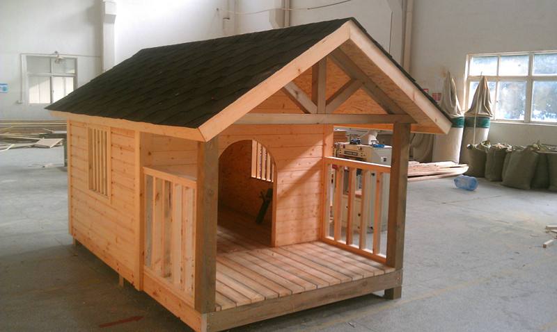 萌宠社出售小,中,大型犬,宠物猫,花鸟鱼玩,宠物用